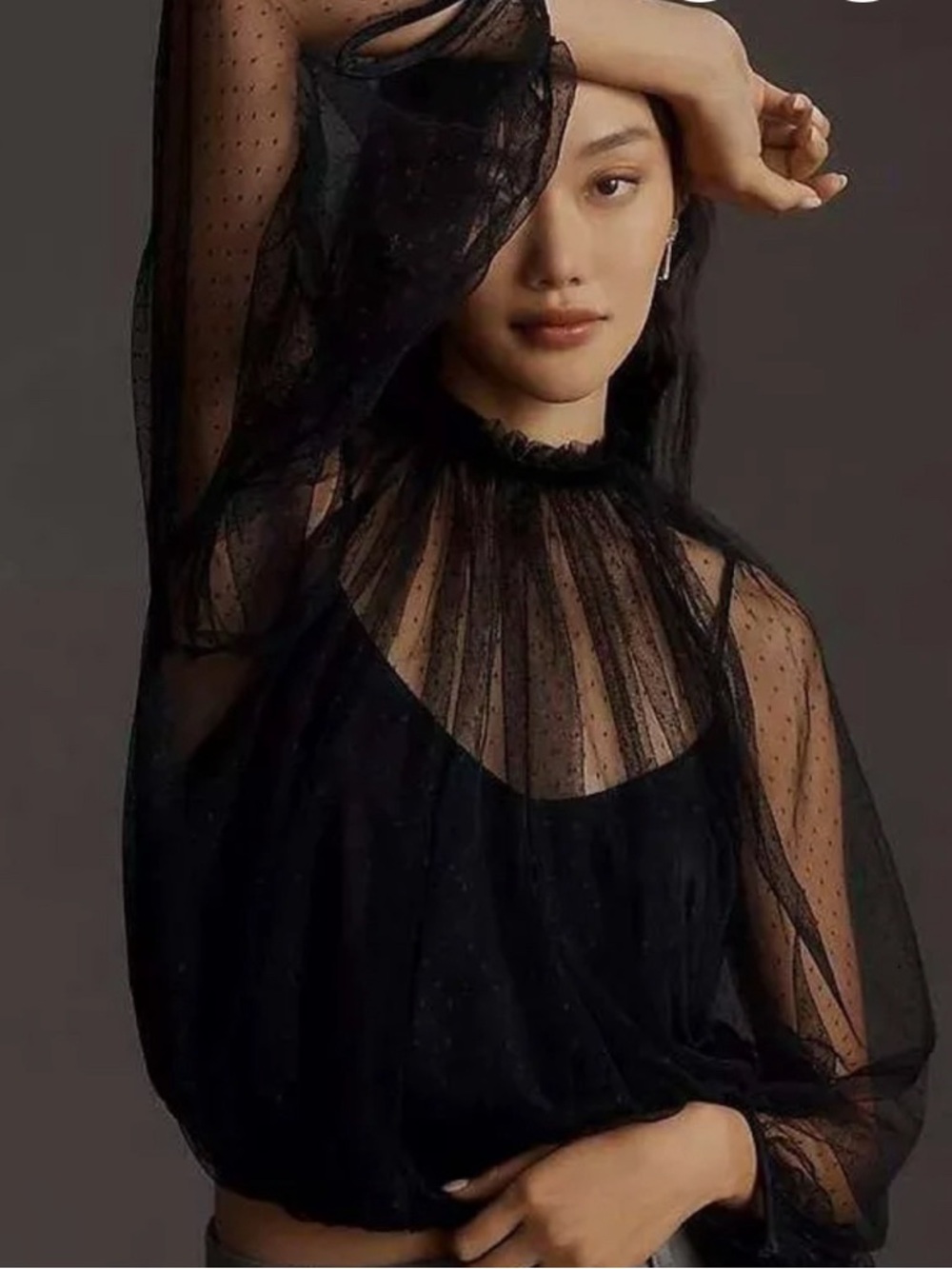 Anthropologie Maeve Black Sheer Ruffle Neck Blouse